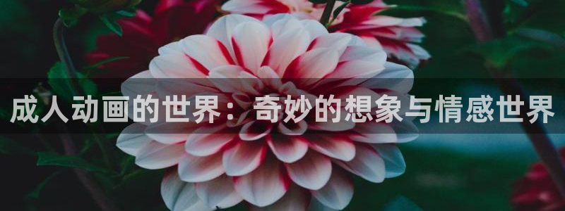 禁漫天堂新：成人动画的世界：奇妙的想象与情感世界