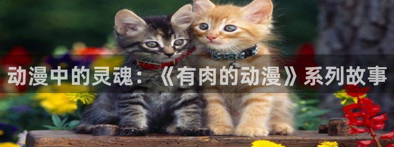 禁漫天堂漫画网免费：动漫中的灵魂：《有肉的动漫》系列故事