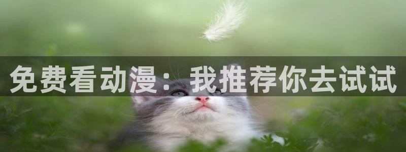 禁漫天堂v1.7.5：免费看动漫：我推荐你去试试