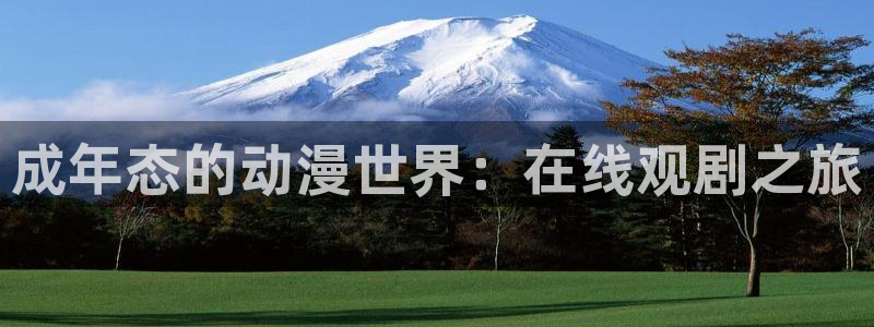 禁漫天堂新版本：成年态的动漫世界：在线观剧之旅
